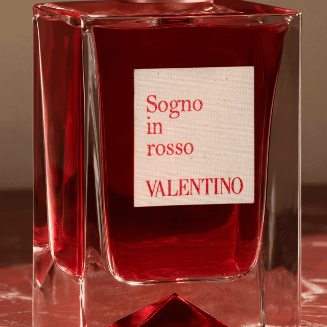 Shop Anatomy of Dreams Sogno in Rosso | Valentino Beauty