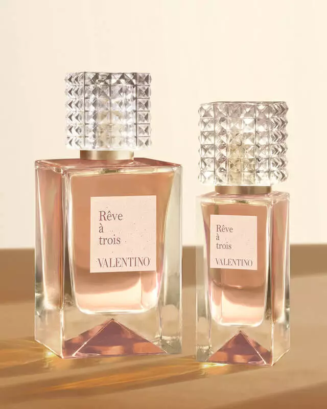 THE NEW DREAM: REVE A TROIS image