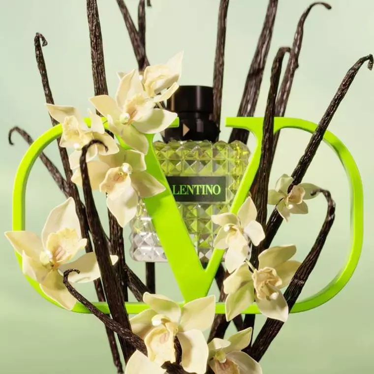 Vanilla Ingredient