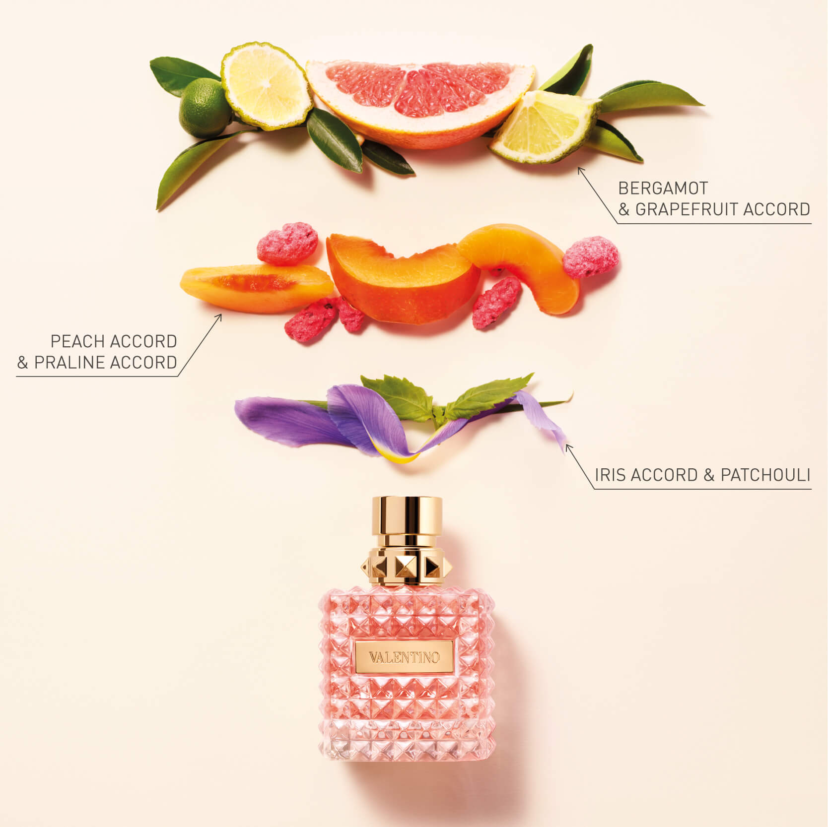 valentino donna valentino perfume